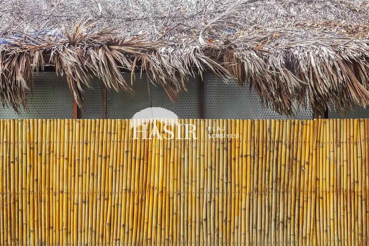 Bambu Kamış