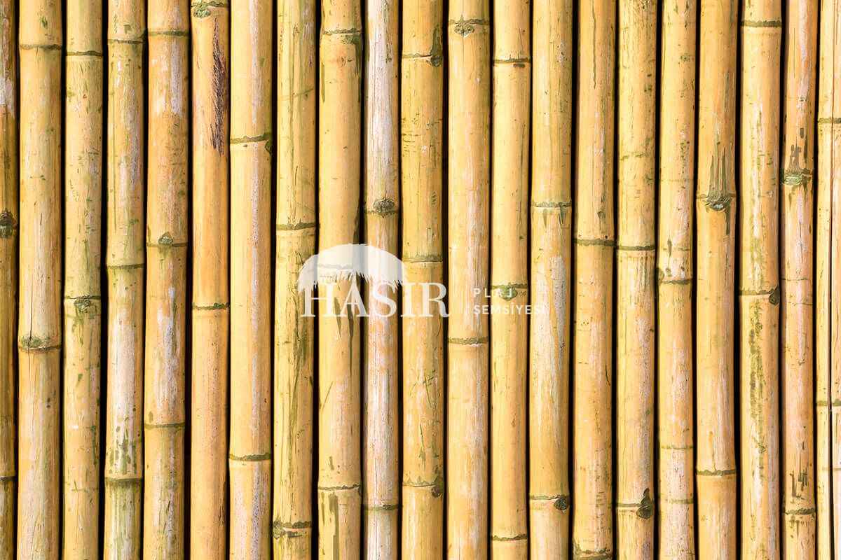 Kargı Çatı ve Gölgelikler