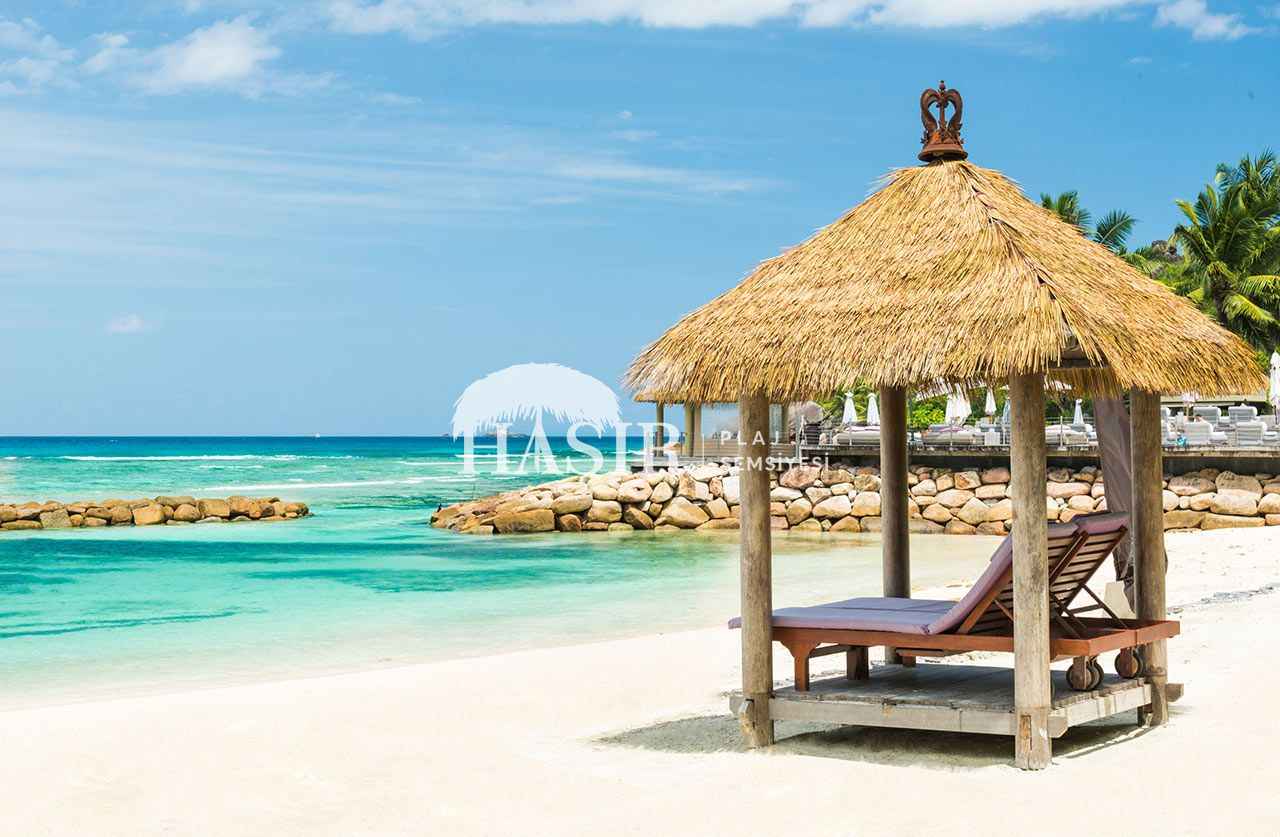 Kamış Çatı Kaplama