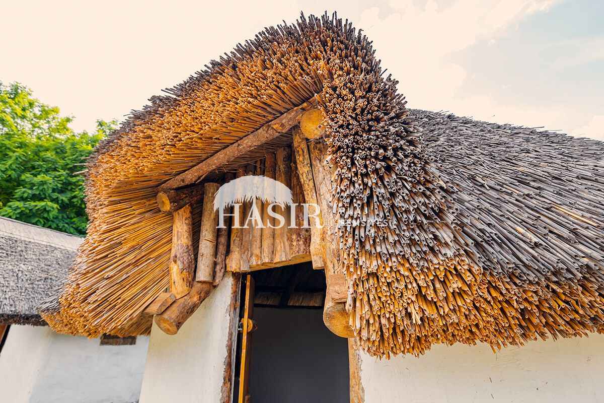 Kamış Çatı Kaplama